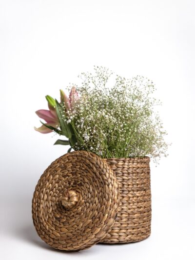 Willow Vault | Handcrafted Wooden Keepsake & Jewellry Box