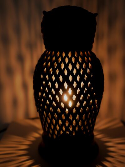 Wise Owl Terracotta Lamp
