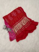 Rasmandal Dupatta | Handcrafted Bandhani Dupatta